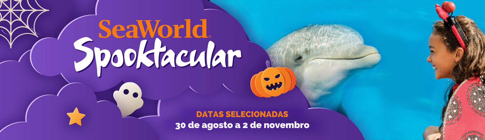 🏀 NBA em Orlando: viva a emoção dos jogos com o transporte da Gator Tours