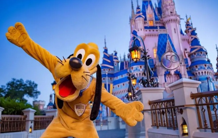 Você nunca viu nada igual